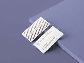 名片logo样机