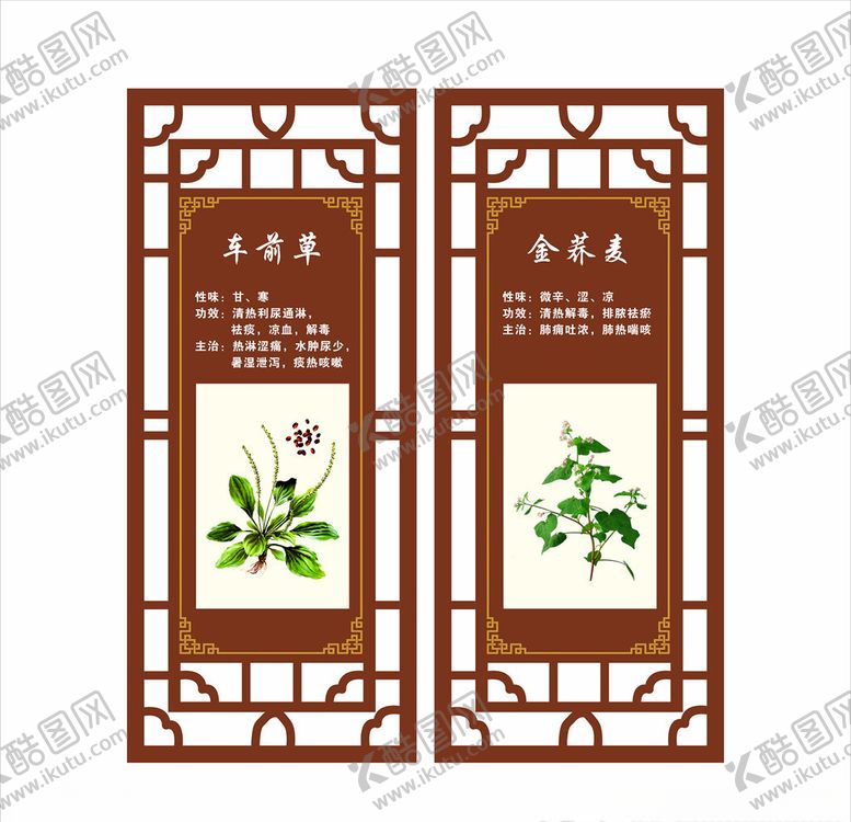 编号：33392604301705427195【酷图网】源文件下载-草药园车前草金荞麦