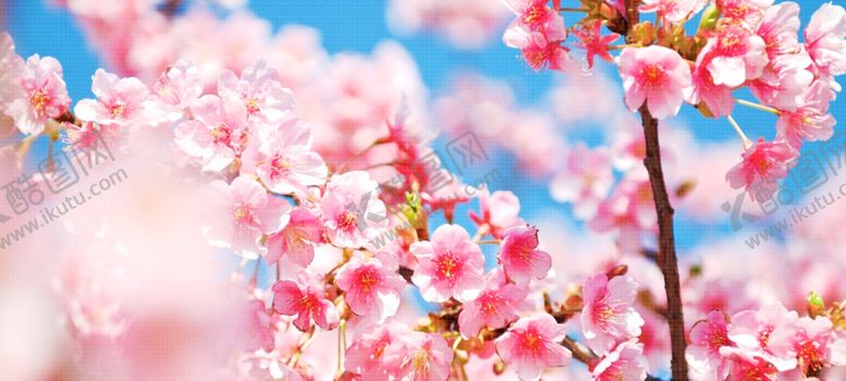 编号：71548809170320012042【酷图网】源文件下载-春天海报
