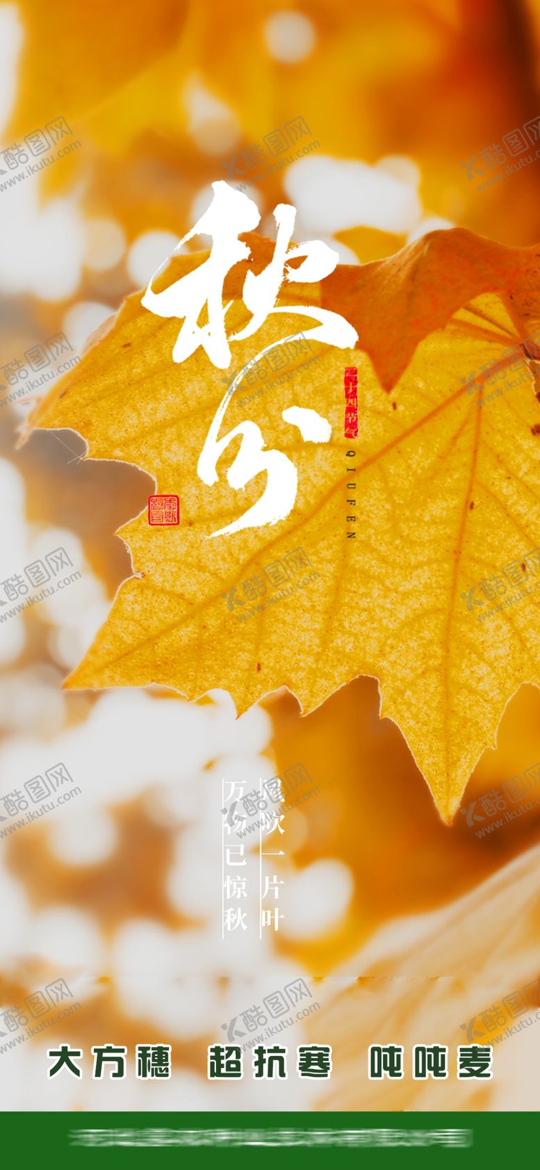 编号：96141401211425183619【酷图网】源文件下载-秋分