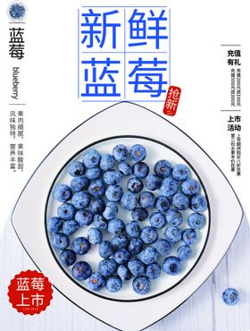 蓝莓绿叶新鲜