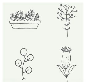 手绘植物