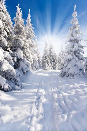 苍山雪景