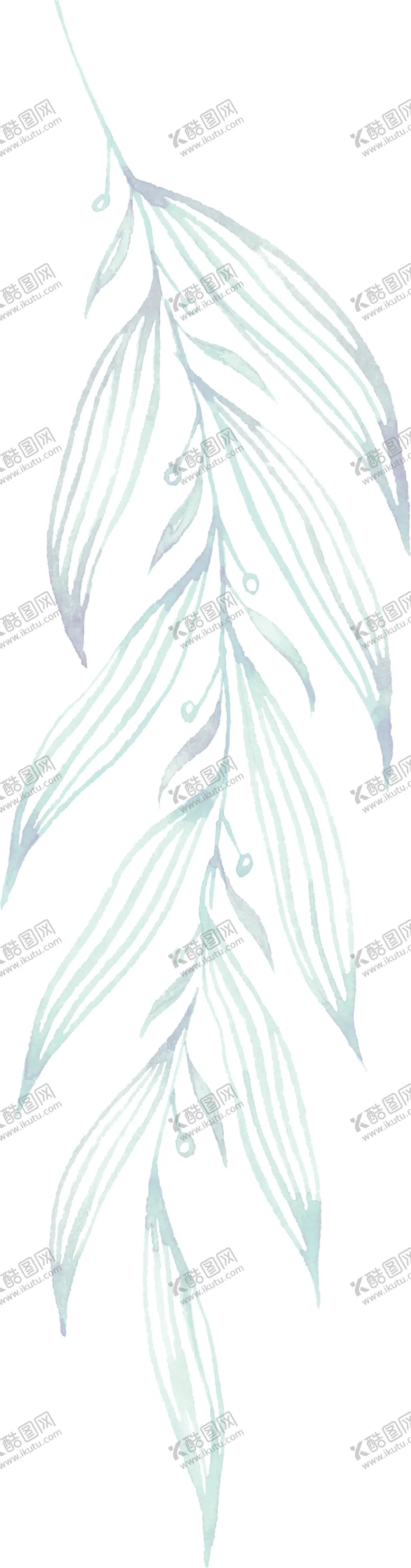编号：95524207011435047073【酷图网】源文件下载-水彩手绘花卉花朵植物