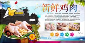 新鲜鸡肉宣传页展示