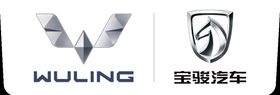 宝骏汽车 标志 LOGO 车标