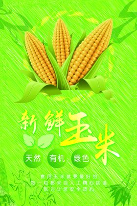 新鲜玉米