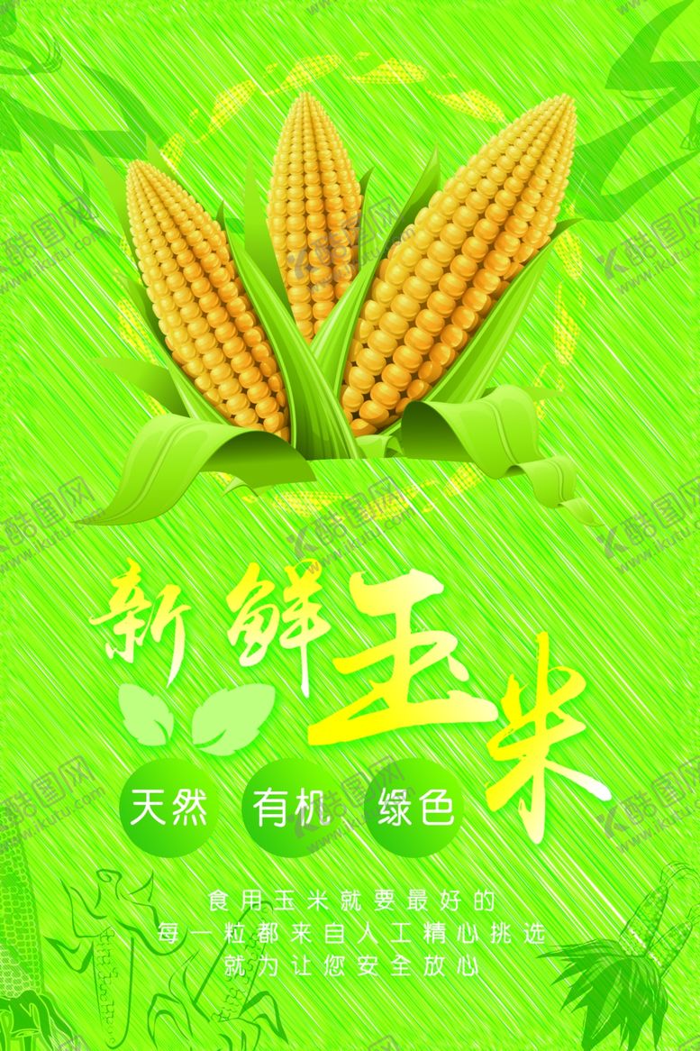 编号：46347604220016569762【酷图网】源文件下载-新鲜玉米