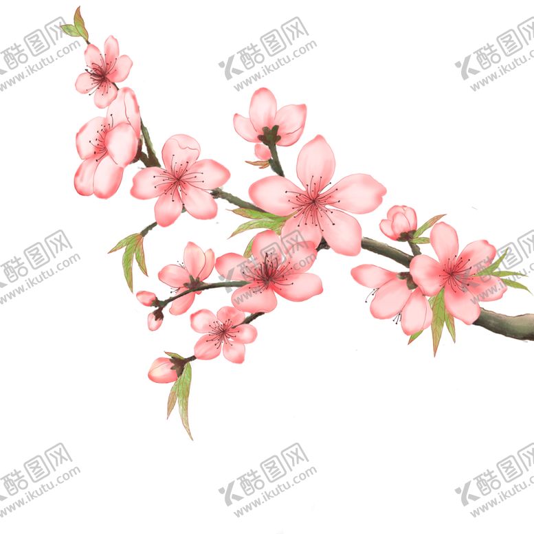 编号：61727402030612438523【酷图网】源文件下载-春天手绘插画桃花粉色