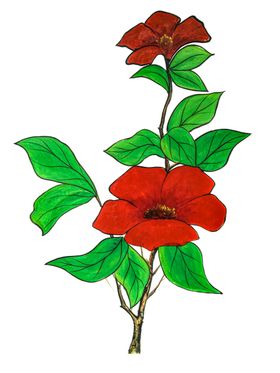 手绘油画花卉