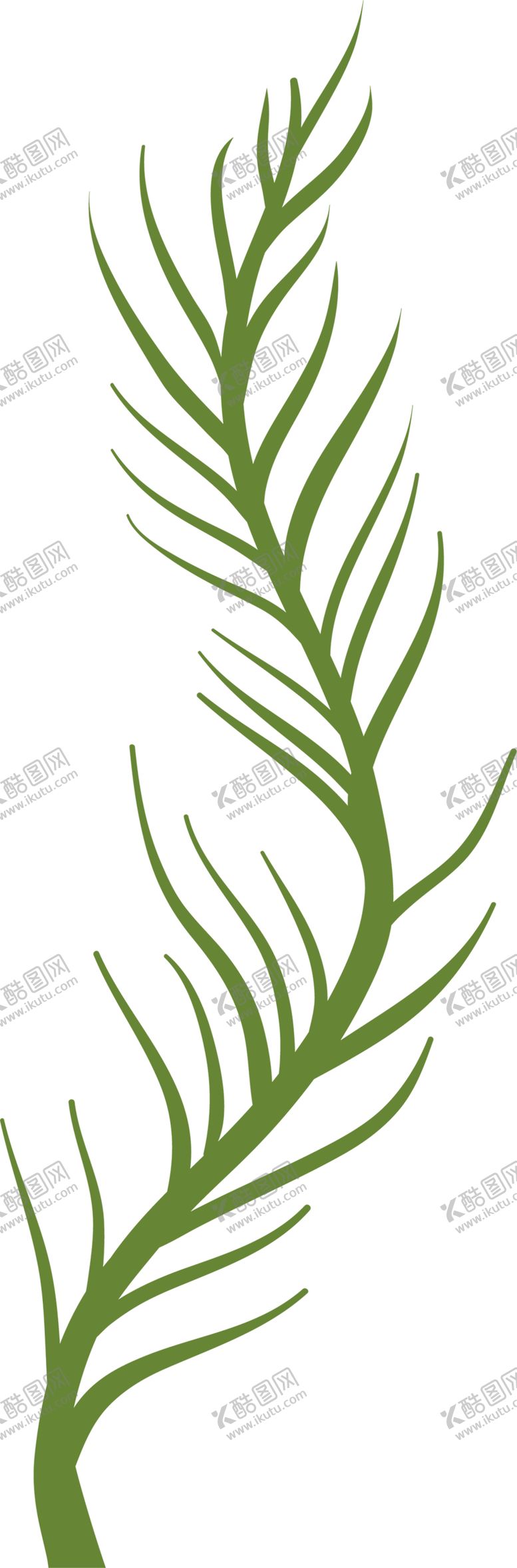 编号：37070810291708031508【酷图网】源文件下载-绿色相框