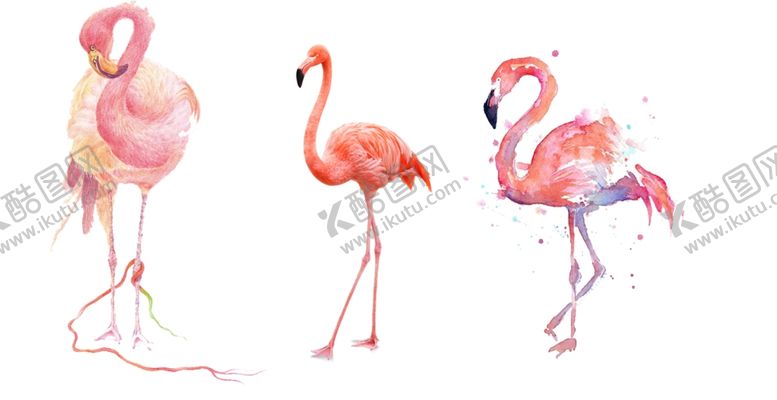 编号：23863109182233469270【酷图网】源文件下载-火烈鸟