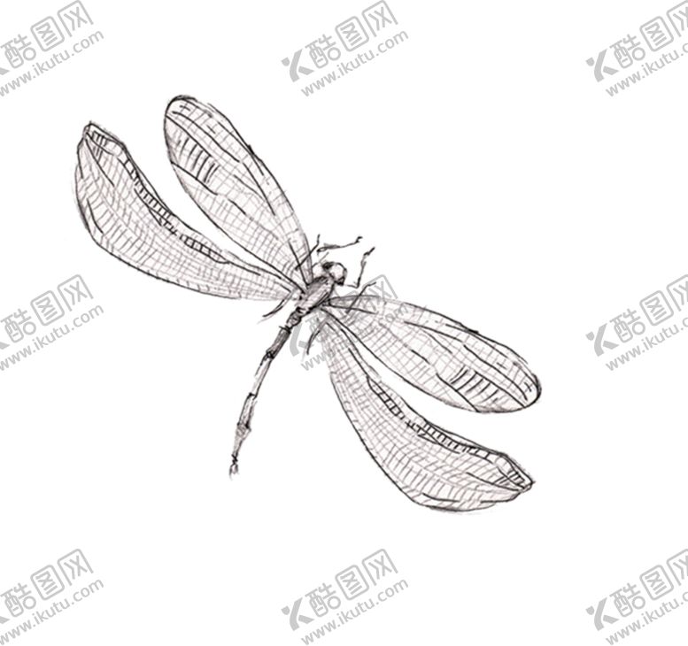 编号：67434907090941035579【酷图网】源文件下载-蜻蜓