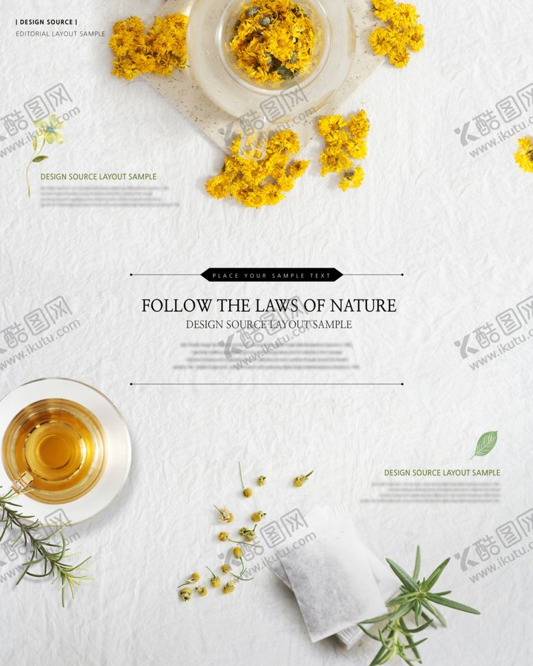 编号：16359311021822418106【酷图网】源文件下载-菊花茶