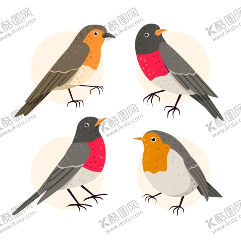 编号：29148811270627265397【酷图网】源文件下载-知更鸟 