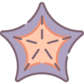 简笔海星