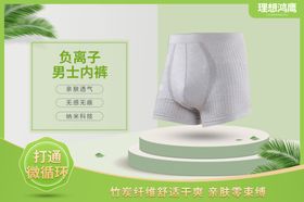 理想鸿鹰