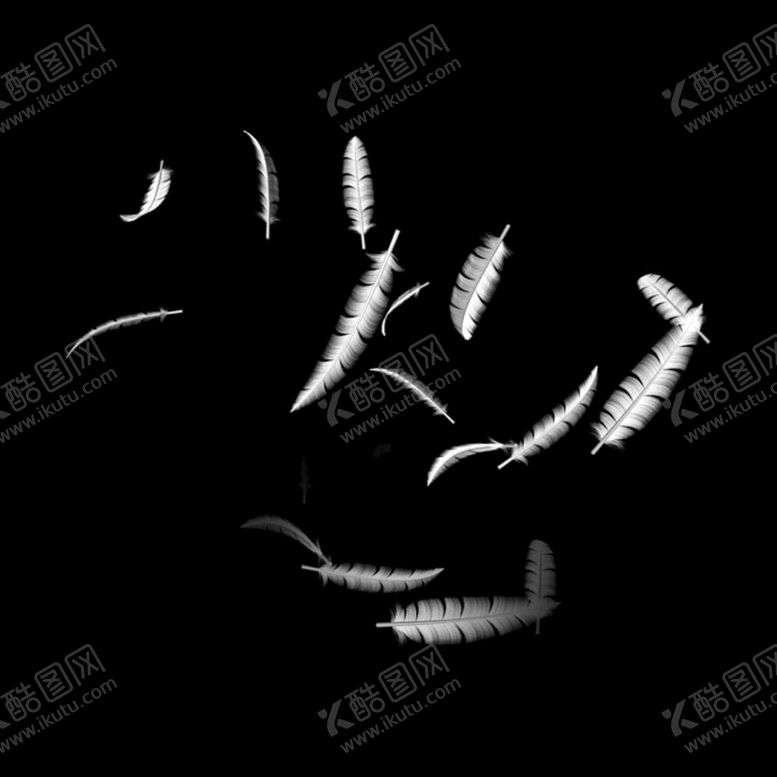 编号：92450709210909245376【酷图网】源文件下载-羽毛 