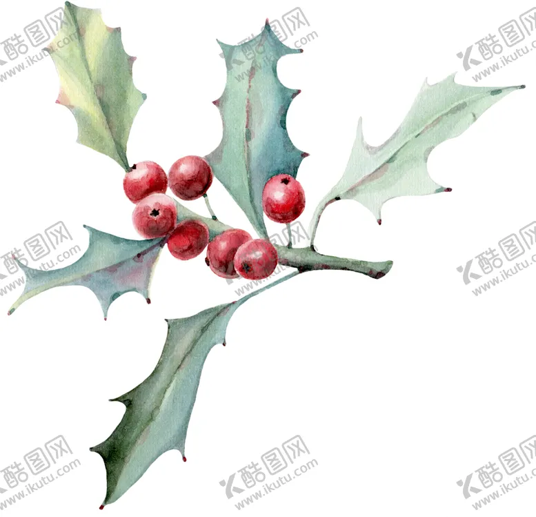 编号：31722206291109054934【酷图网】源文件下载-水彩植物