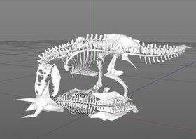 C4D模型恐龙骨