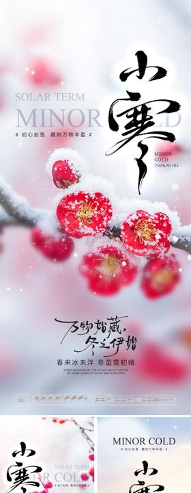 小寒节气海报