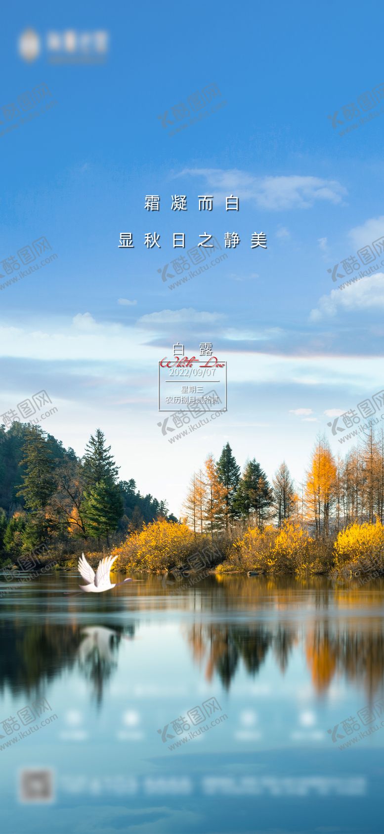 编号：49365611230436517008【酷图网】源文件下载-白露节气海报