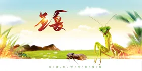 立夏至酒吧海报小暑