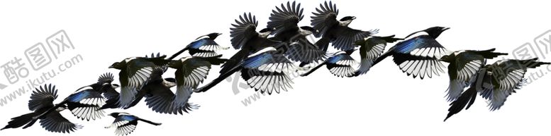 编号：80044910291137352642【酷图网】源文件下载-七夕素材