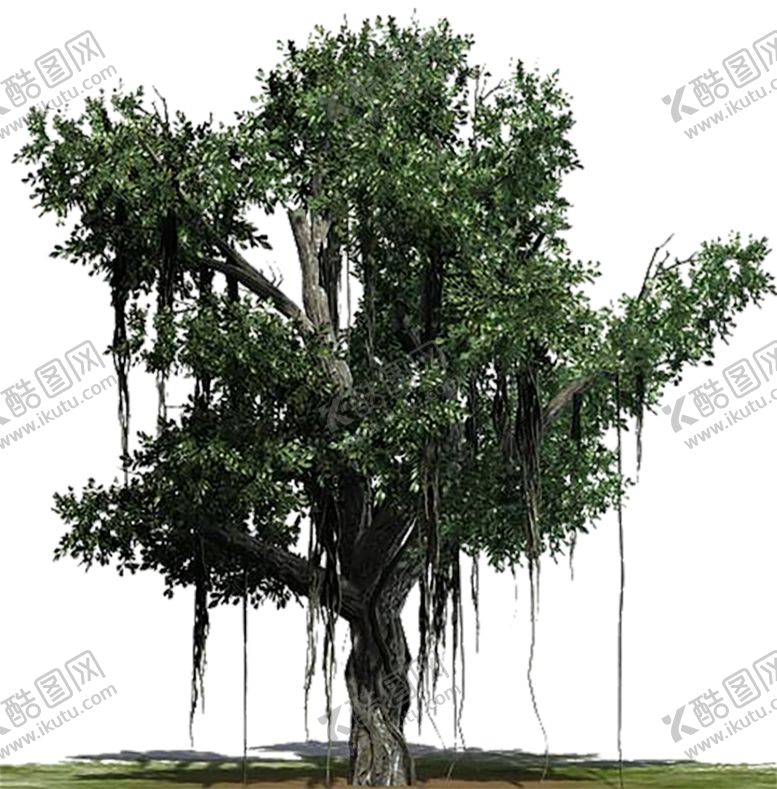 编号：84994110022320346962【酷图网】源文件下载-绿色植物