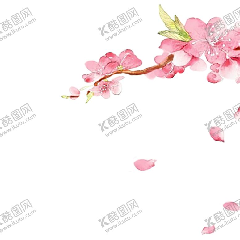 编号：95348409151304578418【酷图网】源文件下载-手绘植物花卉