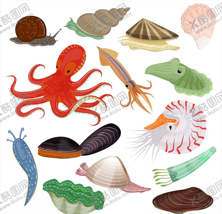 编号：20194309260643309096【酷图网】源文件下载-海洋生物