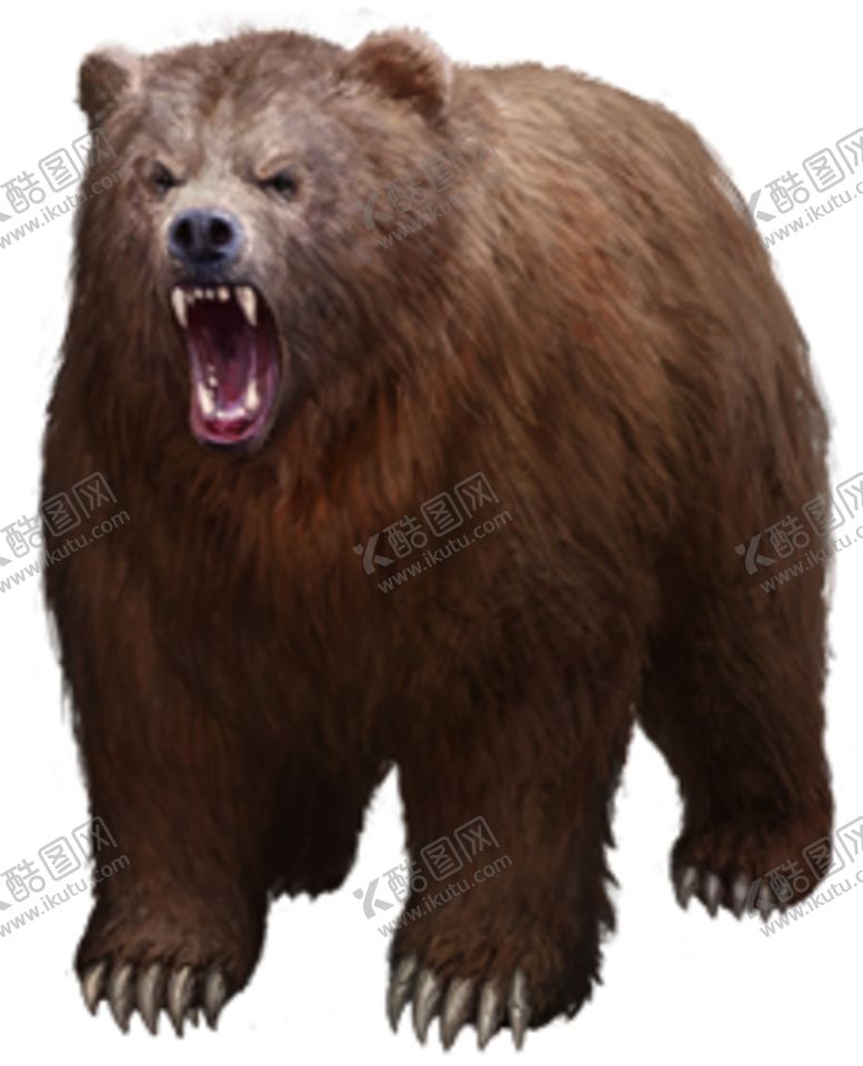 编号：34570310130355056772【酷图网】源文件下载-野生动物动物宠物温顺摄