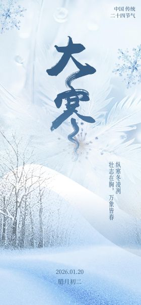 大寒节气借势海报