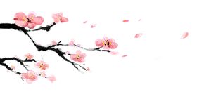 中国风水墨梅