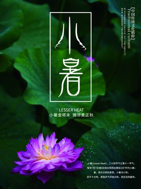 小暑海报