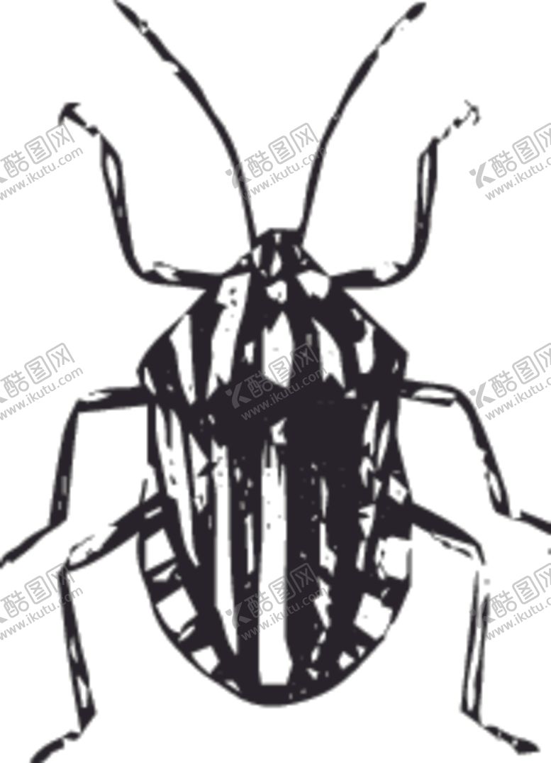 编号：40840009150412252306【酷图网】源文件下载-自然昆虫蝴蝶标本插画