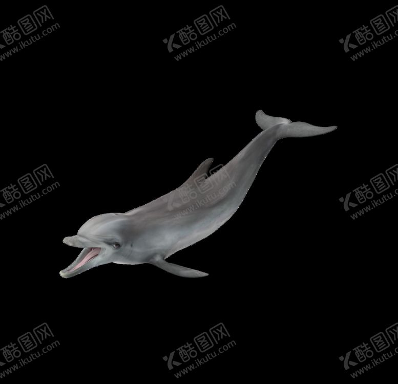 编号：75054709262101571096【酷图网】源文件下载-海洋生物