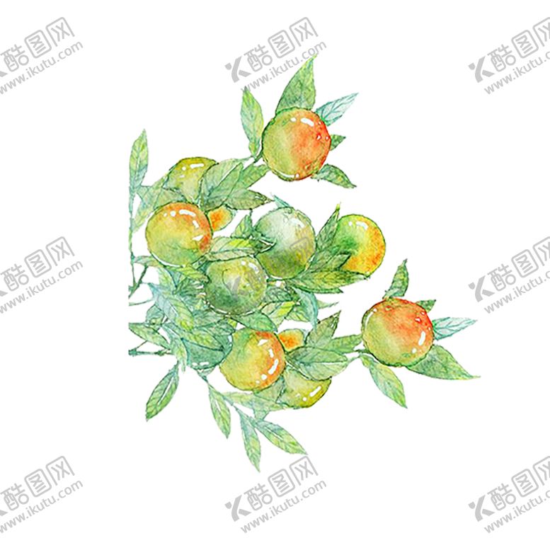 编号：57615609190009109716【酷图网】源文件下载-水果