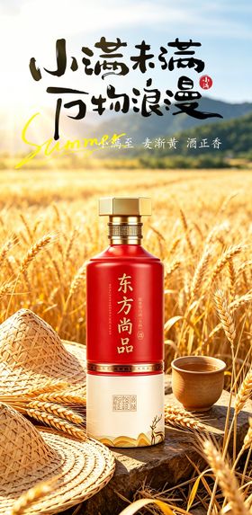 小满二十四节气海报