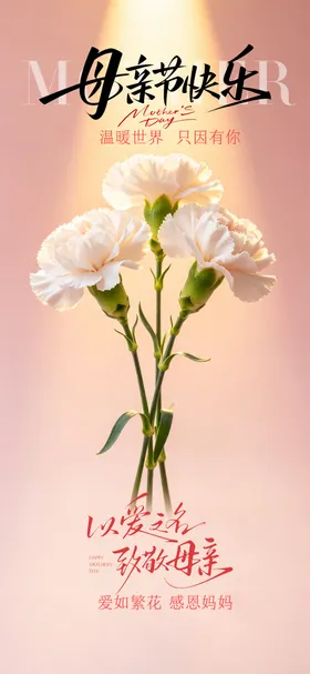 母亲节节日海报