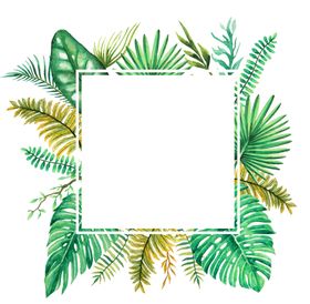 清新水彩植物花朵插画