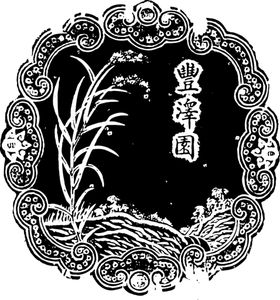 古典花纹