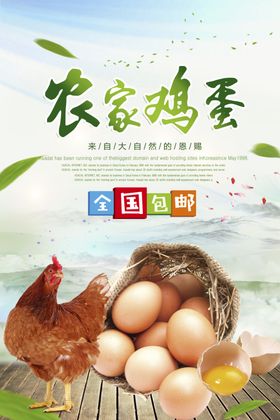 土鸡蛋海报