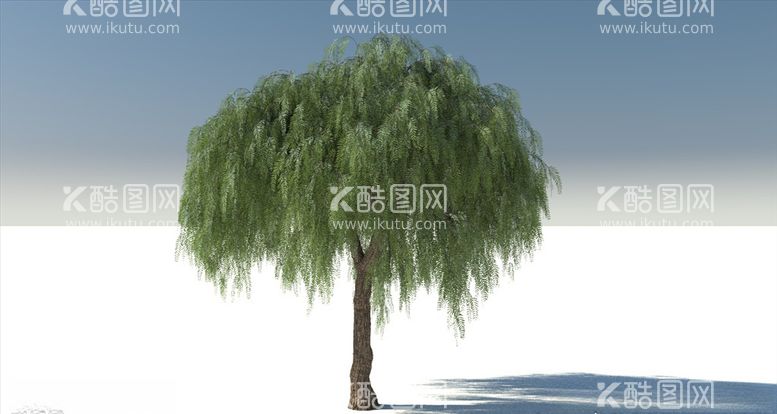 编号：89860303191625035423【酷图网】源文件下载-C4D模型垂柳