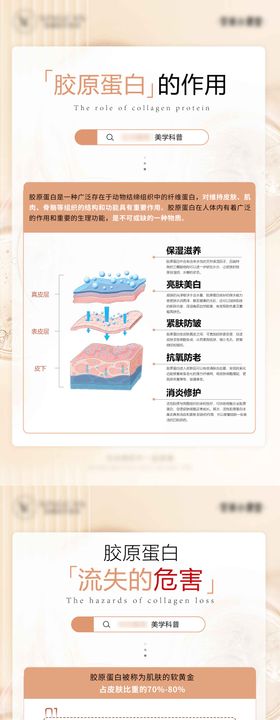 胶原蛋白作用及流失影响海报