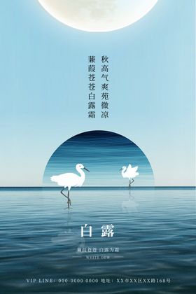 白露节气稿海报