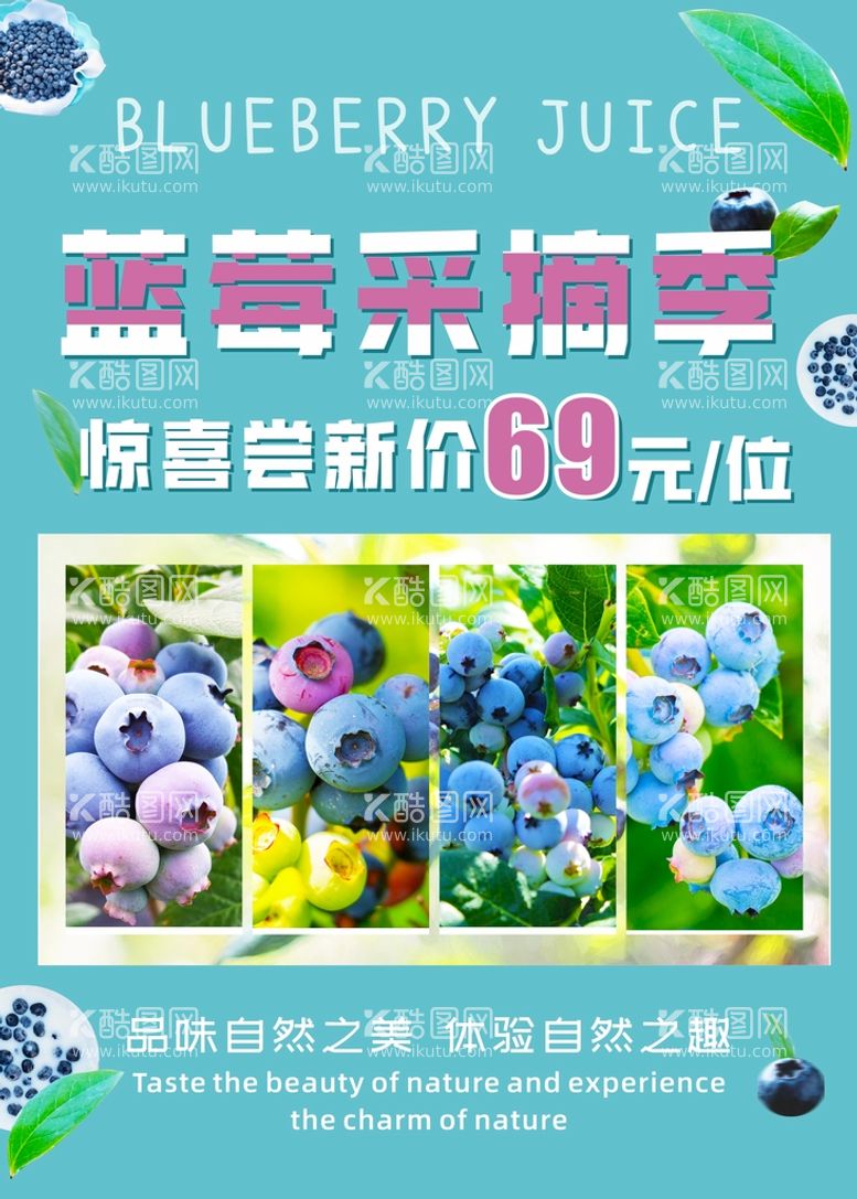 编号：92526112210146582813【酷图网】源文件下载-蓝莓采摘海报