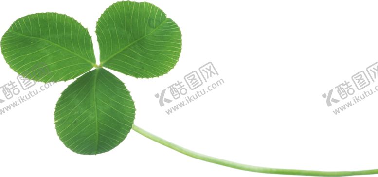 编号：76314506181546434307【酷图网】源文件下载-幸运草