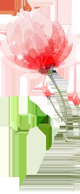 渲染花免抠元素