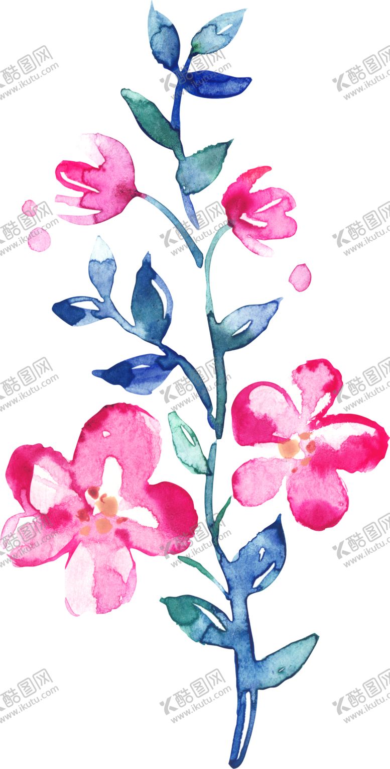 编号：16390006260005446904【酷图网】源文件下载-水彩手绘花卉花朵植物